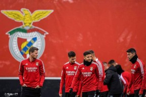 开云中国大陆官网包含冲刺阶段本菲卡调整名单以备NBA季后赛，迎来里程碑环节打磨，目标明确，训练强度明显提升的词条